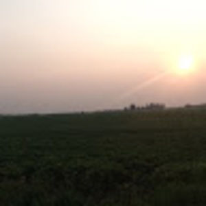 Meet your Posher, Savannah